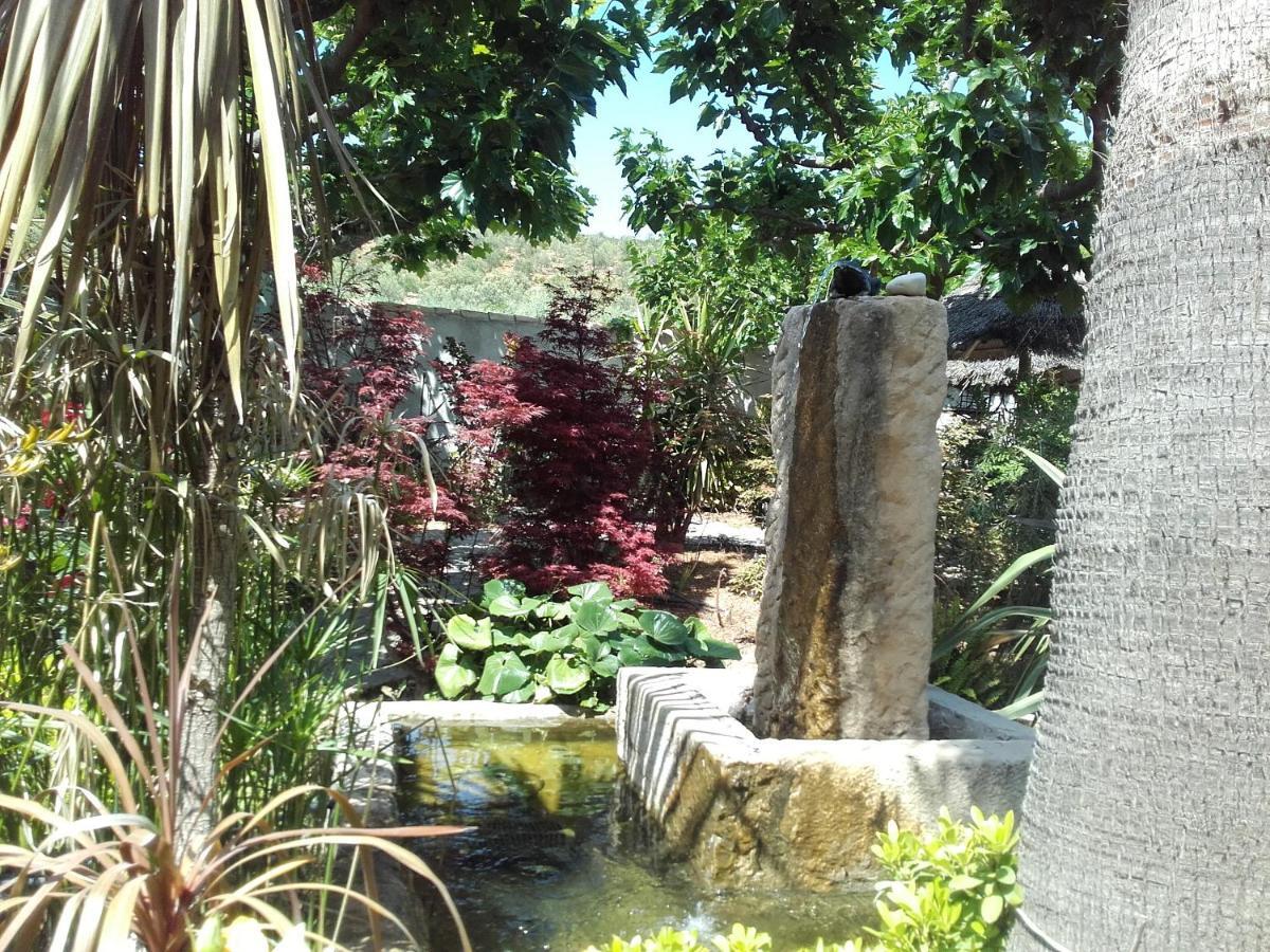 Appartement Domaine L'Oliveraie لو كاستليت المظهر الخارجي الصورة